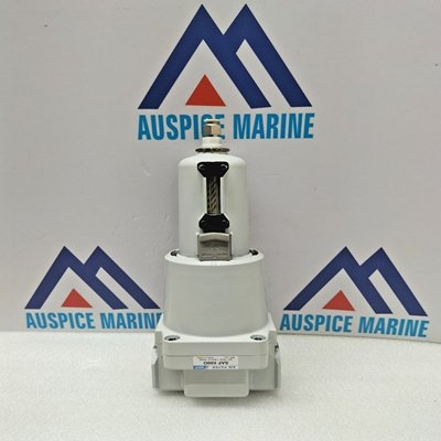 SkpSAF600DAirFilter9.9KGF/CM2140Psi