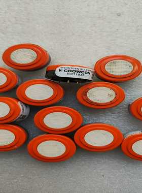 【议价】CROWCON科尔康硫化氢传感器，H2S-B1。适用