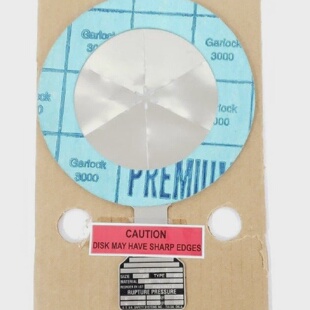 全新BSBQB00146000D类型RUPTURE磁盘4英寸AV类型316TEF3162953279
