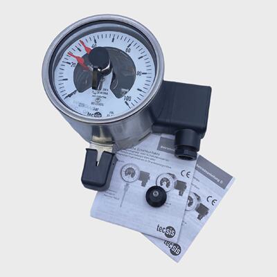 TecsisP2361B081008接触式压力表TE100mm0...100巴G12