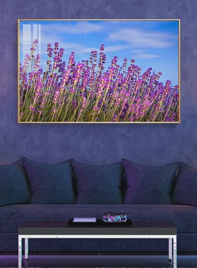现代风景粉紫色薰衣草卧室装饰画客厅沙发背景墙办公室餐厅墙挂画