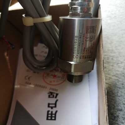 星仪压力变送器CYYZ15-Y-04-A1-17-B-G，全