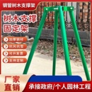 园林绿化镀锌钢管树木支撑架防风树支撑杆苗木支架固定器撑树支架
