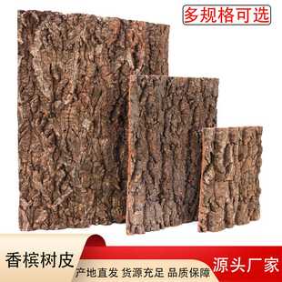 鱼缸香槟树皮水族雨林缸背景软木真栎树皮cork爬行动物躲避背景板
