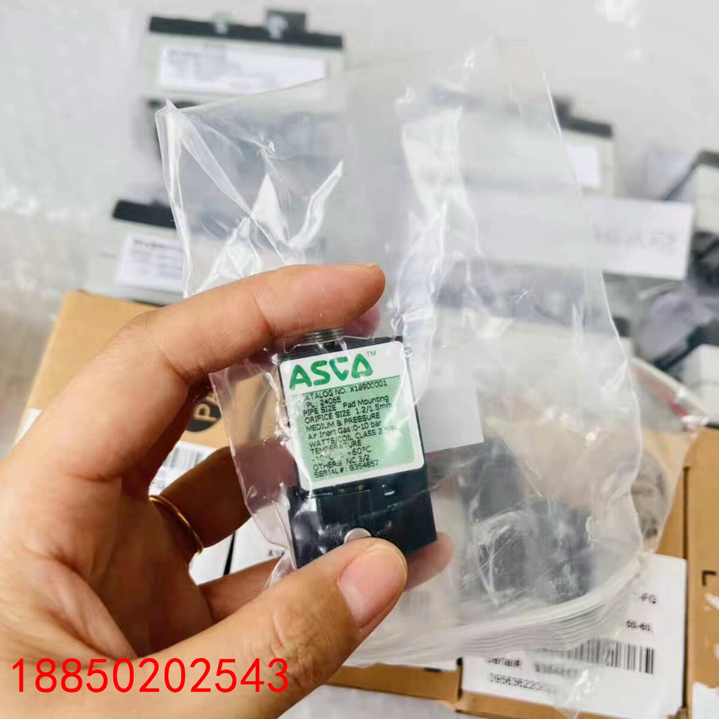 【请询价】54292023线圈一个库存特价处理asco电磁阀线圈dc2