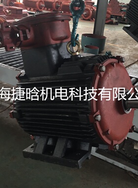 寻“”上海YB3250M455kW4极防爆电机可选YBX3