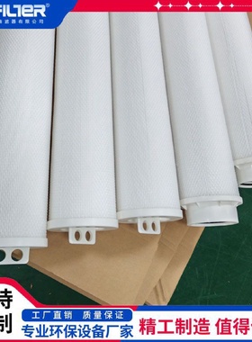60寸保安过滤器大通量滤芯 66005 大流量水滤芯 纳污量大