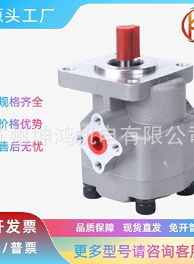 寻I高压齿轮泵油泵定量齿轮HGP3AF6R8R11R13R14R19R25RF28R