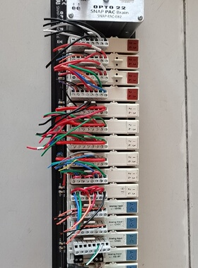 议价OPTO22Bl奥普图PLC输入输与模拟议价