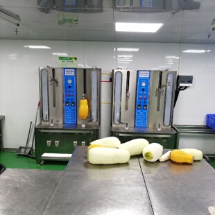 净菜配送全自动果蔬削皮机大型南瓜西瓜双头去皮机商用刨皮机