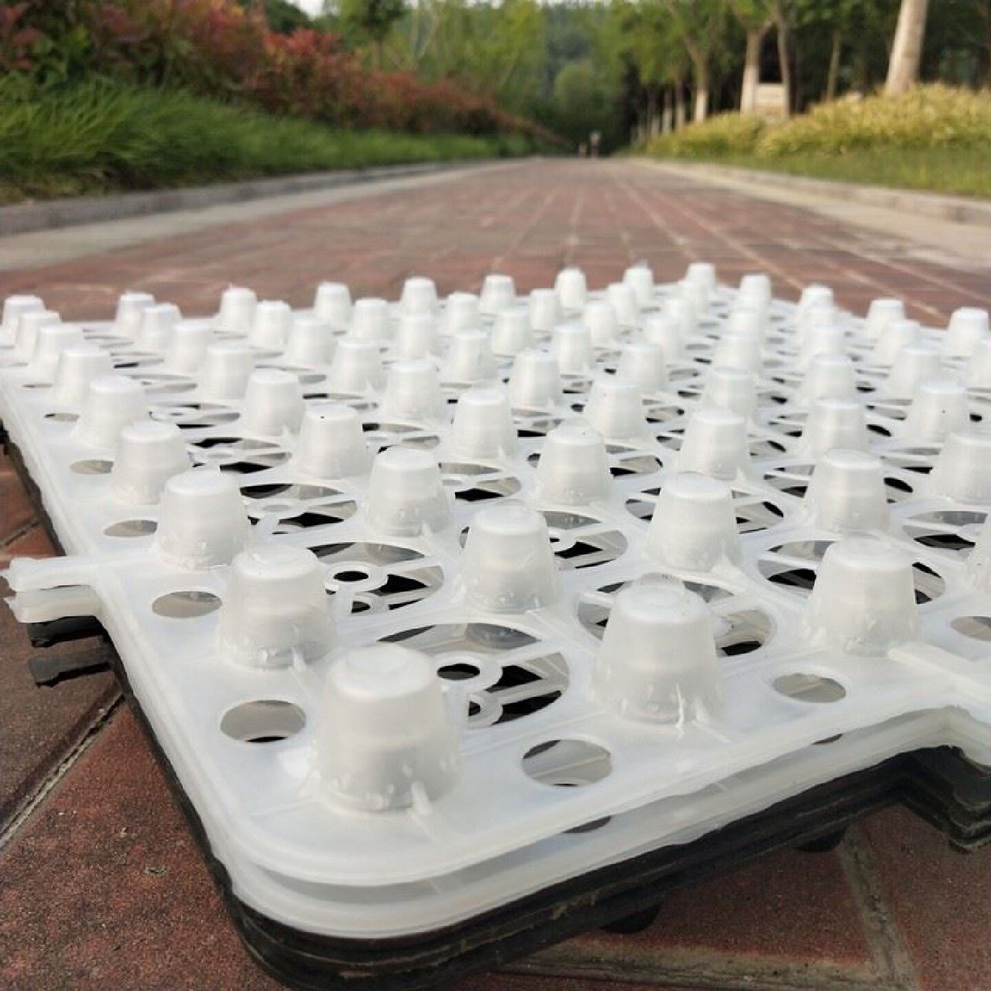 排水板塑料蓄水板车库顶板卷材凹凸型疏水板防水阻根工地PE滤水板