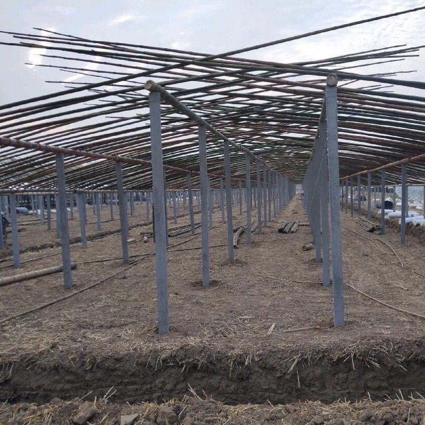 广东汕尾水泥桩立柱葡萄架水泥立柱果园围栏桩预制水泥瓜蒌水泥杆,基础建材,基础材料,淘宝优惠券,粉丝福利购,淘宝优惠卷