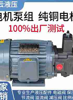 议价-液压油泵电机组0M.75KW-1.5KW-VP20-2.2KW-3.7KWp20VP40