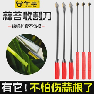 抽蒜苔神器蒜薹收割刀抽蒜器拔剥提打蒜苔划蒜苗蒜台摘蒜苗的工具