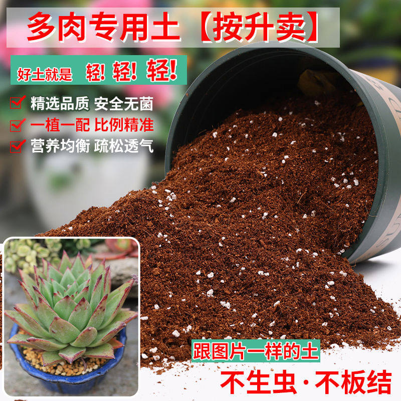 多肉专用土植物营养土颗粒多肉土小苗老桩专用营养土有机通用