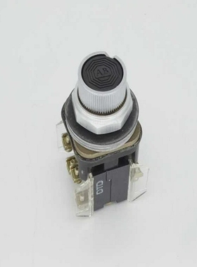 ALLEN BRADLEY 800T-KE2MNXX 系列 T PUSHBUTTON