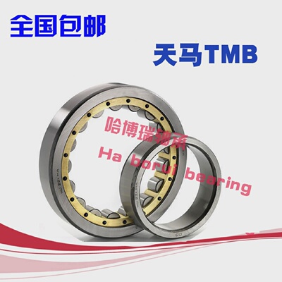 天马TMB轴承NNUNJRNNUPNF316317318319EEMMC3