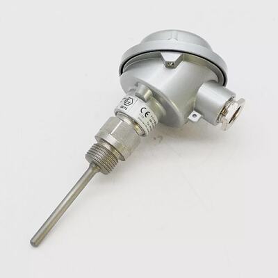 Reckmann WXEO1Pt1003 130765 Ex Thermoelement  thermocouple u
