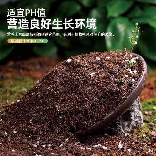思威博营养土养花专用土有机肥料泥炭椰糠精配营养通用土壤透气