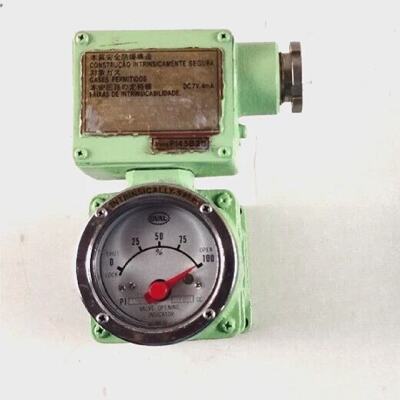 Indicateur DOuverture De Soupape Ovale PI45B20 3181 CC