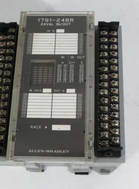 1791-24BRAB罗克韦尔PLC模块(亚飞商行）