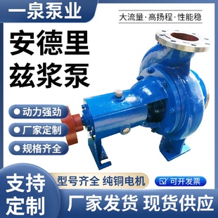 無堵塞耐腐80LXLZ50安德里茲紙漿泵造紙紙漿食品漿液輸送泵紙漿泵