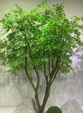 厂家直销各种尺寸真树杆榕树枫树橱窗造景树家居展厅软装装饰树