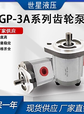 寻I齿轮泵HGP3AF6RF8R11R13R14R17R19R23R25R28R30R油泵