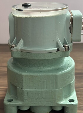 （请询价）OVALNPI45B10364cc阀位指示器备件