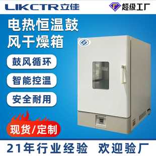 立佳电热鼓风干燥箱小型高温工业烤箱电热恒温鼓风箱老化试验箱