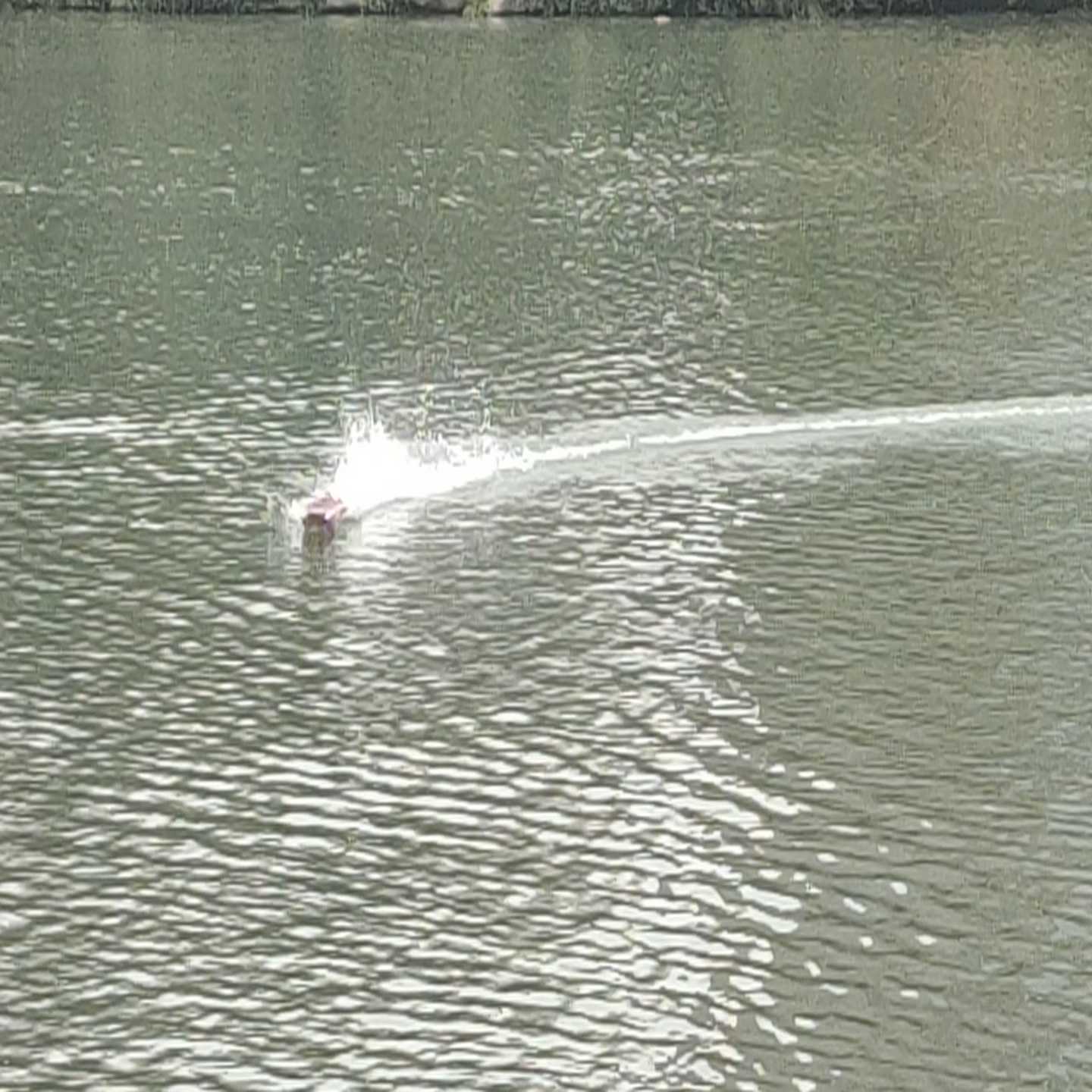 (重工机械)双体快艇带不带自己准备s5200