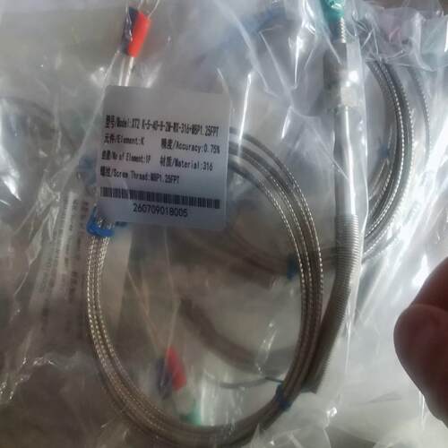 EYC热电偶XT2 K-5-40-2M-WX-316+M8P125FPT