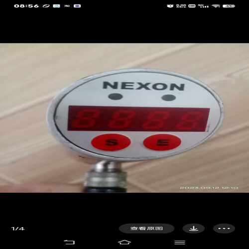 询价~NEXON压力开关PN3010/B250P21G14MS