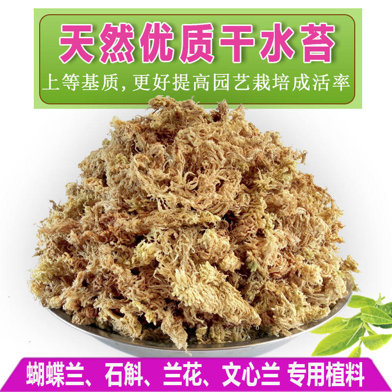 贵州优质国产干水苔蝴蝶兰专用营养土文心兰鹿角蕨兰花植料草