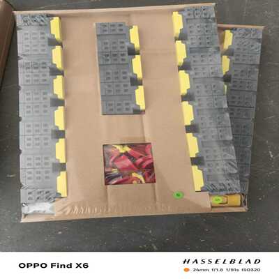 【议价】XBE3310/6荷兰SANTON直流开关