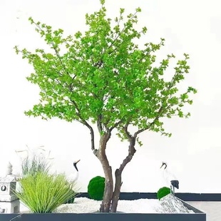 饰马醉木植物 仿真吊钟树绿植景观树室内外北欧风摆件婚庆橱窗装