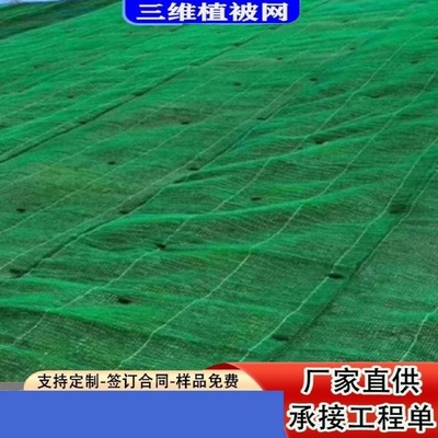 三维植被网EM3EM4Em5绿化土工网河道护坡固土网生态三维网植草网