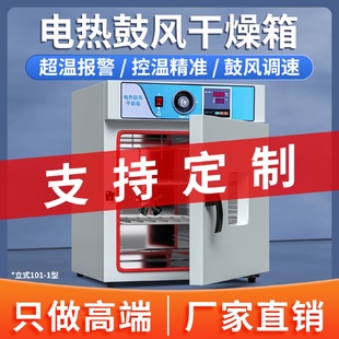 电热鼓风干燥箱实验室新款 1工业烘箱恒温物资药材烘干箱 立式 101