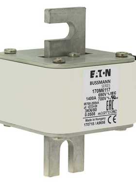 全新原装美国EATON伊顿巴斯曼熔断器170M6108 17一议价商品