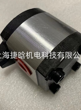 寻“”齿轮泵2GG1P11R2GG1P14R2GG1P16R2GG1P20R2GG1P22R