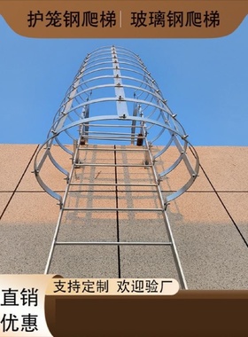 制作玻璃钢护笼爬梯污水池防腐直爬梯安全防护屋面上人检修钢爬梯