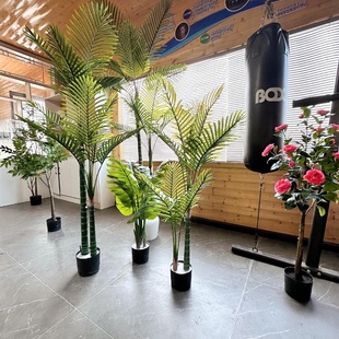 饰假散尾葵仿真旅人蕉盆栽仿真树仿真绿植 北欧家居客厅大号植物装