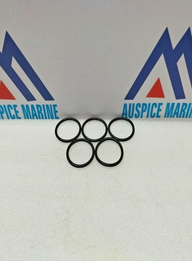 Wartsila218048/001OAnneauPourW6L20/7166-ENSEMBLEDE5