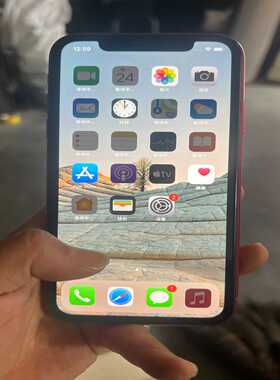 出闲置iPhoneXr，128G，红色，后盖碎了，功能正常--议价商品