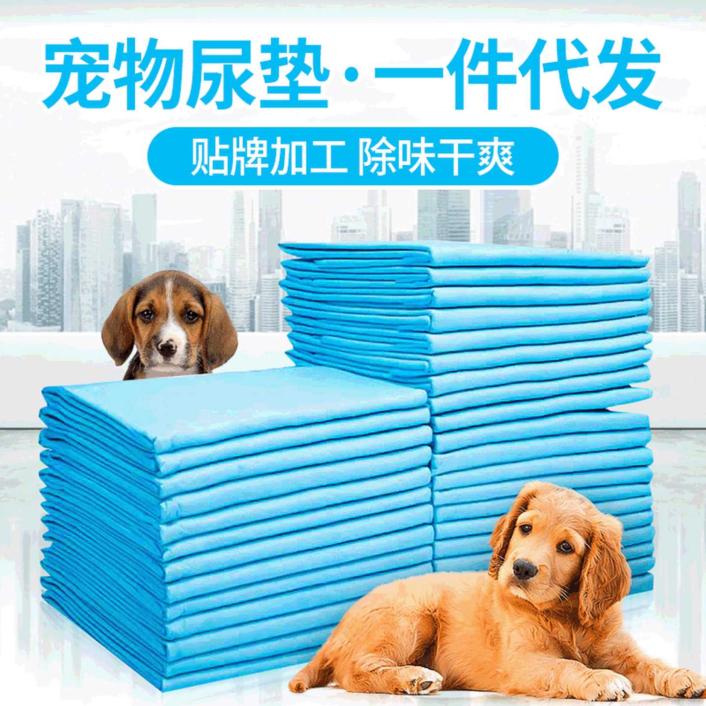大量批发猫狗尿垫一次性尿片宠物尿布尿不湿清洁宠物用品一件代发