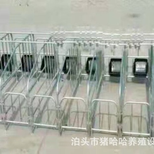 定位栏猪用限位栏定位栏分娩栏 母猪定位栏育肥定位栏落地式
