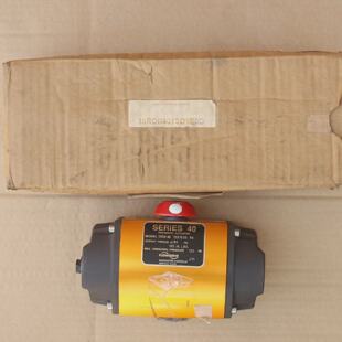 Aktuator FLOWSERVE Pneumatischer 15RDB401SD1E0DR6 Serie