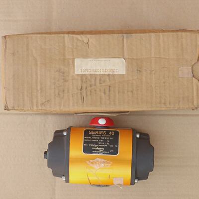FLOWSERVE 15RDB401SD1E0DR6 Serie 40 Pneumatischer Aktuator 2