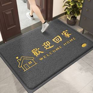 进门地垫大门口丝圈脚垫家用入户门出入平安门垫室内玄关除尘地毯