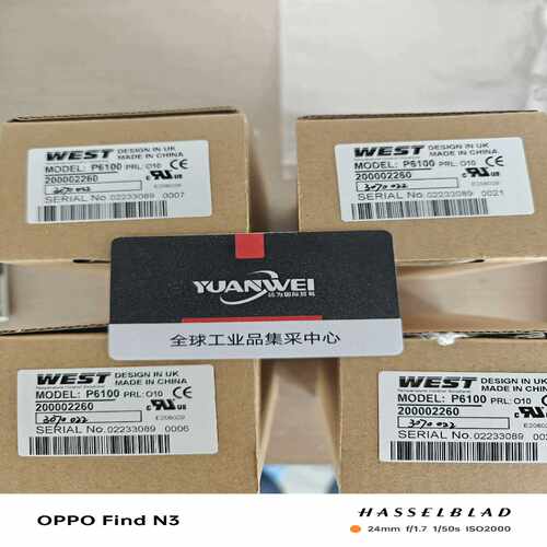 咨询-WEST过程控制器P6100